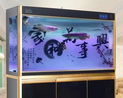 紅龍魚(yú)用什么背景好（養(yǎng)紅龍魚(yú)缸背景顏色的選擇） 龍魚(yú)百科 第4張