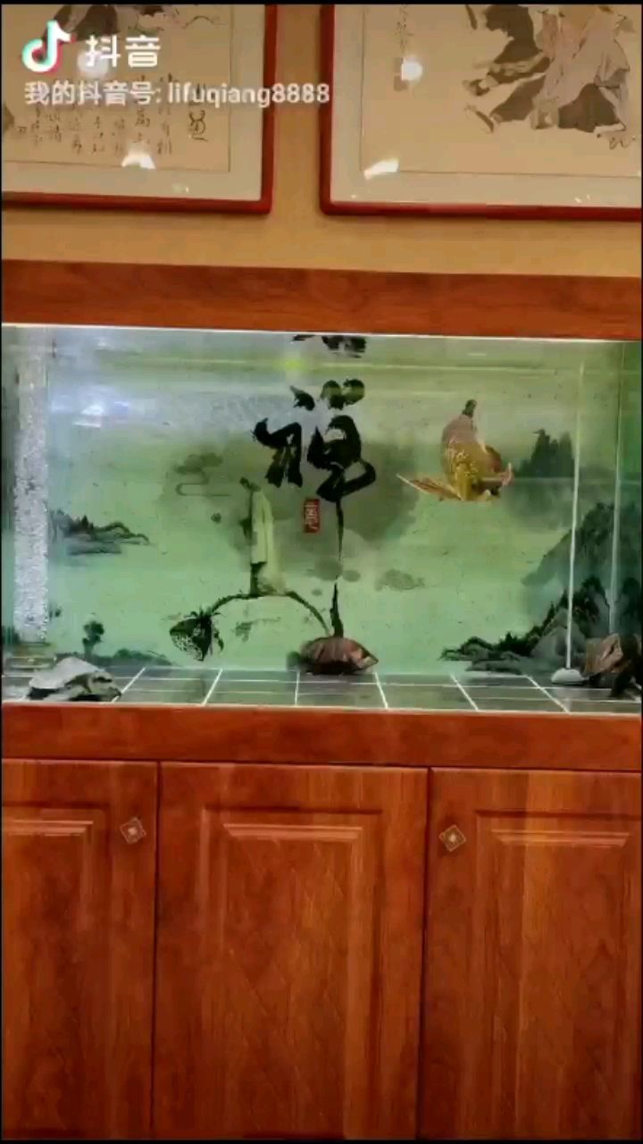 林芝水族館認真做事好好養(yǎng)魚