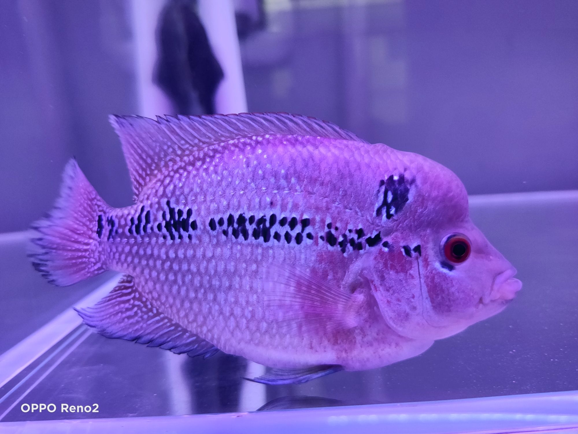 紹興水族館還要再堅持嗎？