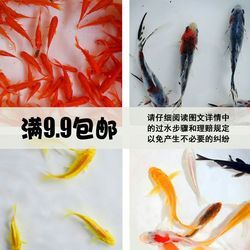 魚(yú)缸的ph值一直都在86左右