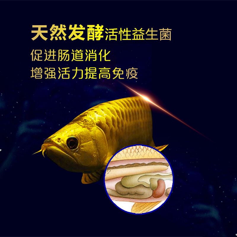 泰安觀賞魚市場三元康活性益生菌 觀賞魚市場（混養(yǎng)魚） 第2張