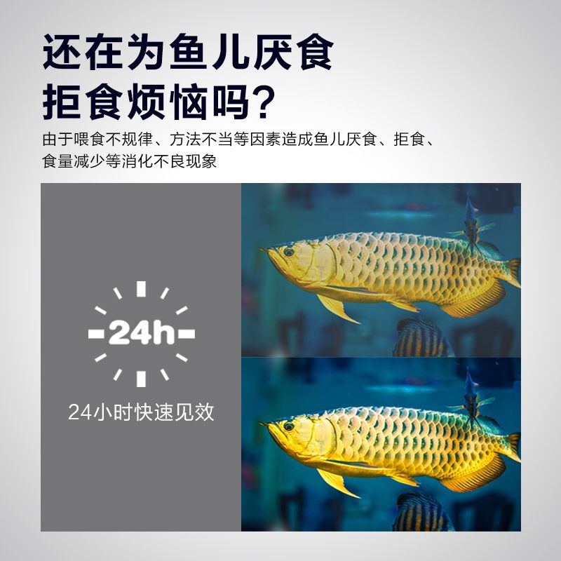 泰安觀賞魚市場三元康活性益生菌 觀賞魚市場（混養(yǎng)魚） 第3張