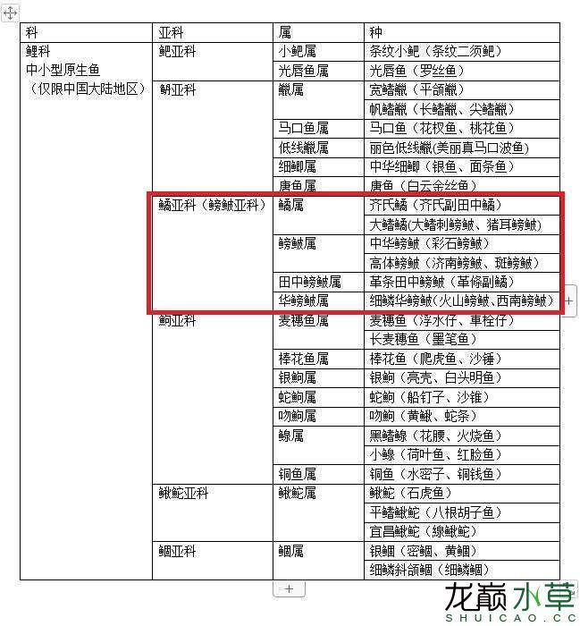 孝感水族館大陸原生造景常用魚之鯉科鱊亞科篇鳑鲏亞科