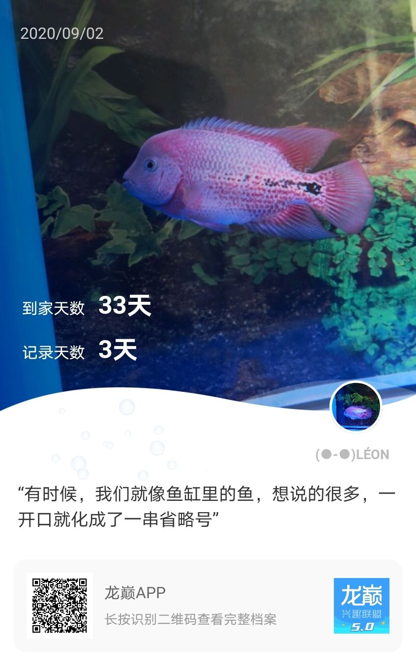 一個(gè)月記錄 魚缸等水族設(shè)備 第2張