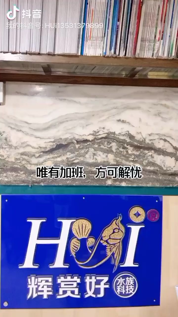 滁州觀賞魚(yú)市場(chǎng)唯有加班方可排憂 觀賞魚(yú)市場(chǎng)（混養(yǎng)魚(yú)） 第2張