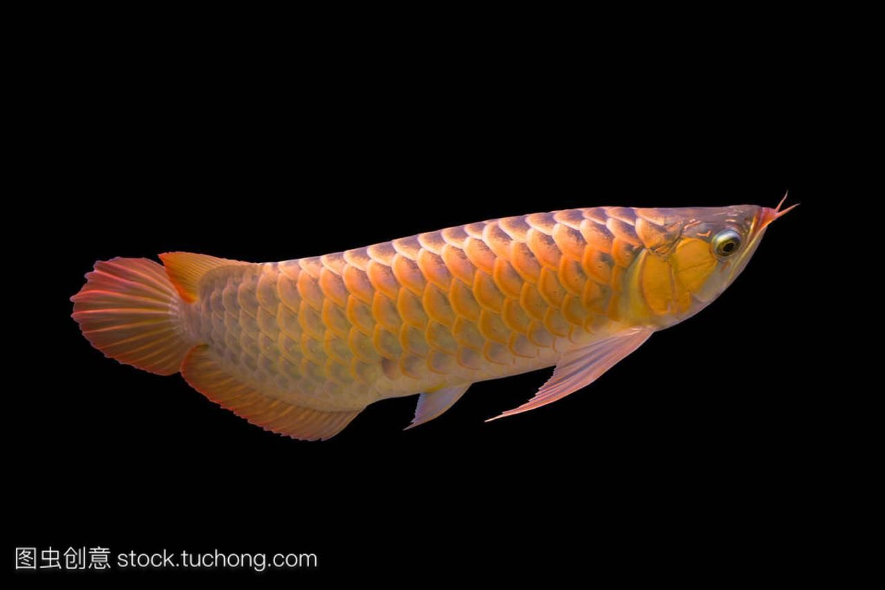 威海水族館莫絲黃了