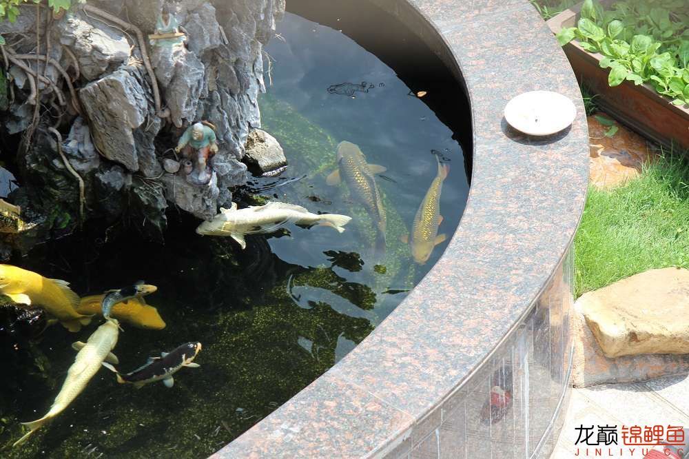 商丘水族館魚很雜但也樂在其中