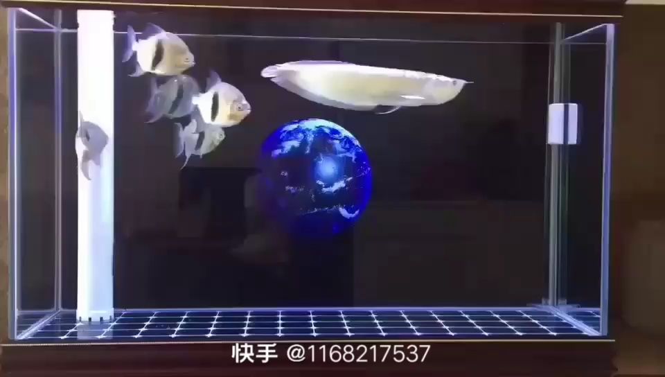 星際遨游