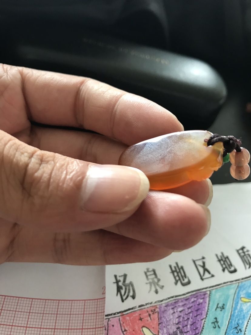 偶遇瑪瑙 海象魚 第4張