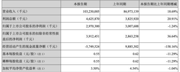 金龍魚半年營收破千億（金龍魚2024年營收破千億，非經(jīng)常性損益占據(jù)絕大部分利潤） 龍魚百科 第5張