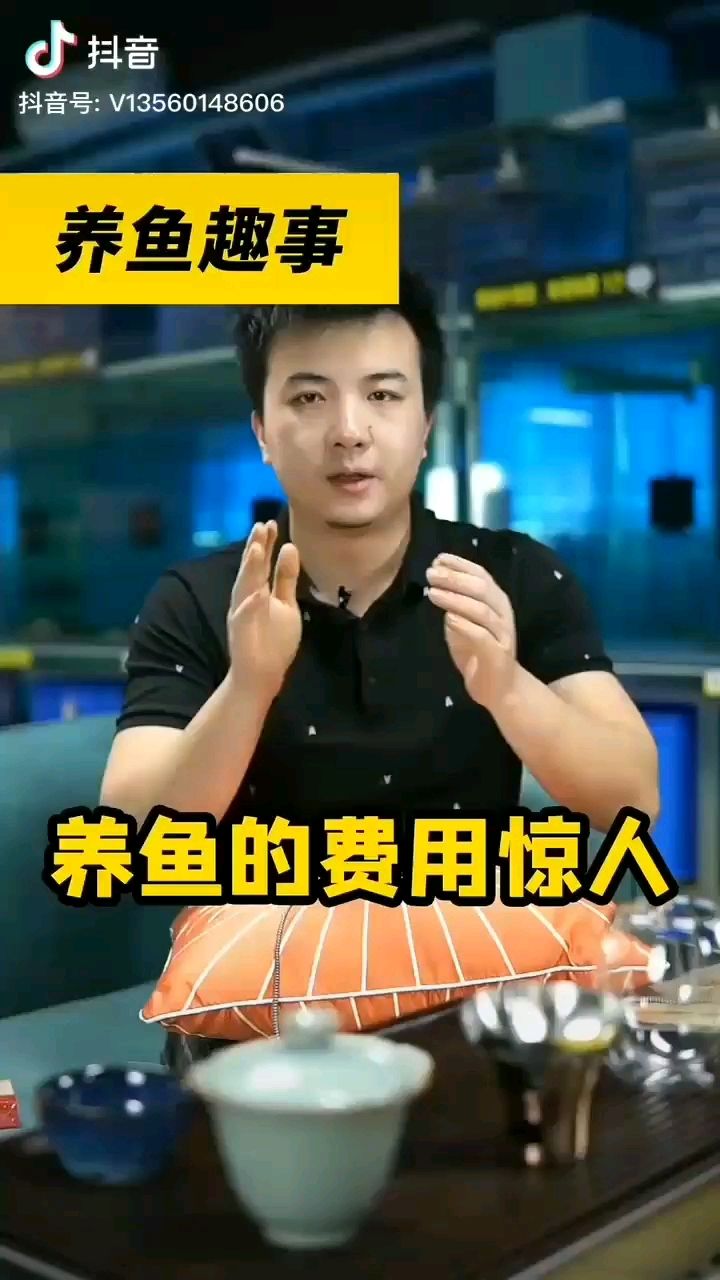 忻州觀賞魚市場褲兜就是這么扁的 觀賞魚市場（混養(yǎng)魚） 第3張