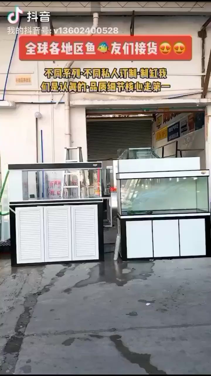 湘潭觀賞魚市場全球各地區(qū)魚友們接貨