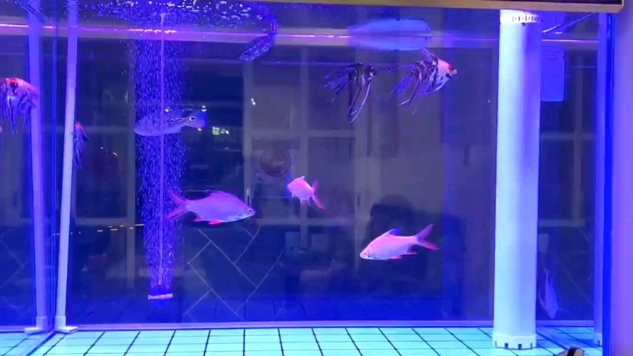 天水水族館可以算空氣嗎？