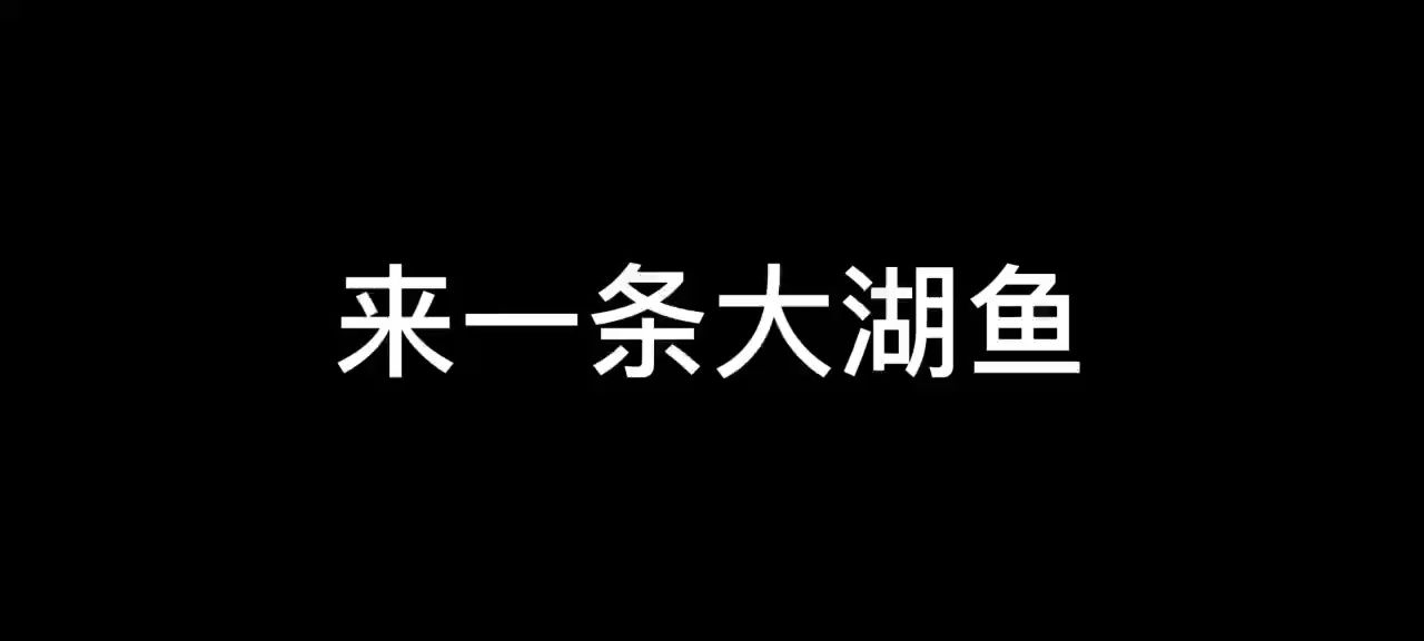 合肥觀賞魚市場來一條上游大湖魚