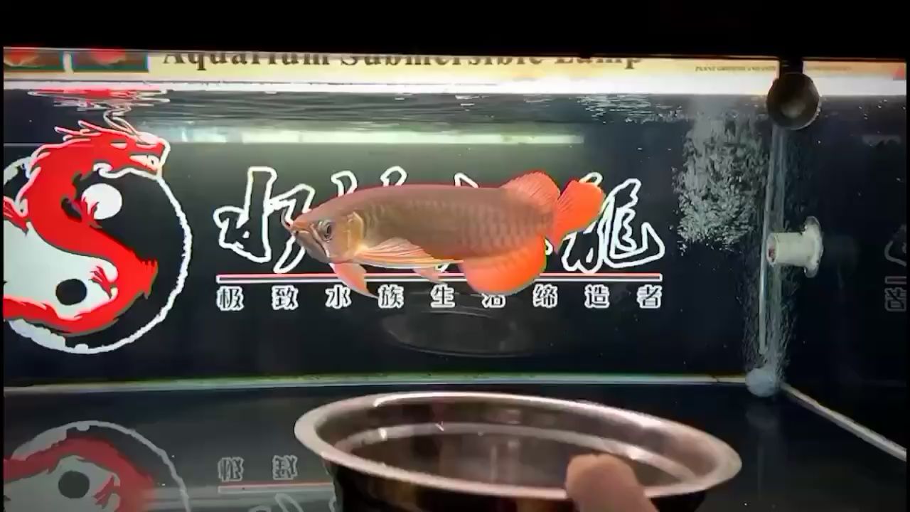 賽級超神打卡啦 肺魚 第2張