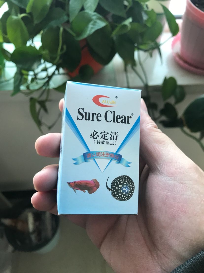 必定清的保質(zhì)期多久？