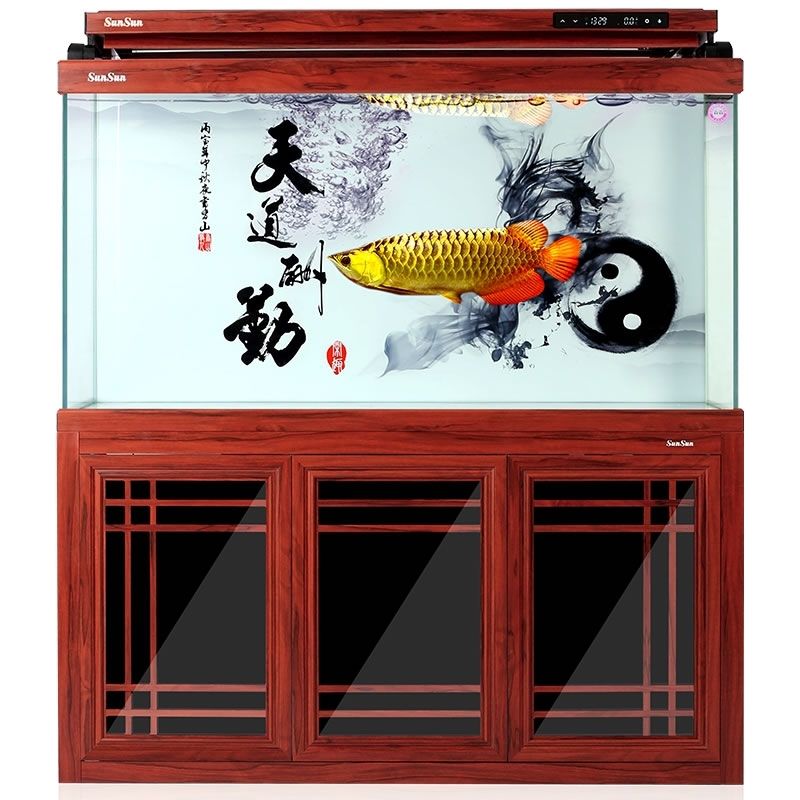 新手妹妹跪求指導養(yǎng)魚