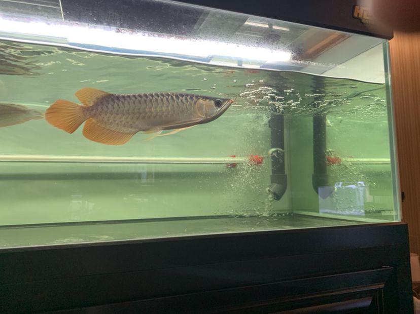 果洛藏族自治州水族館被遺忘的小朋友