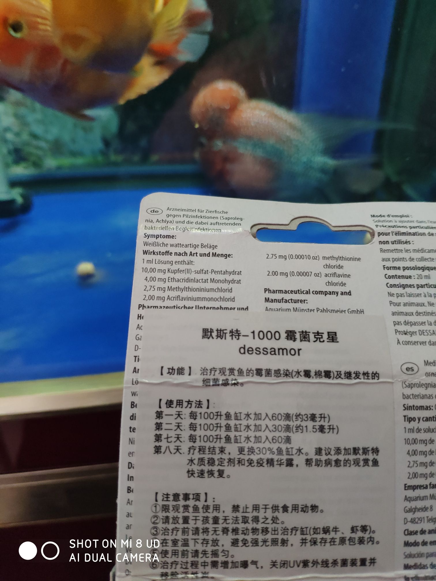 西寧水族館羅漢換水 祥龍龍魚魚糧 第4張