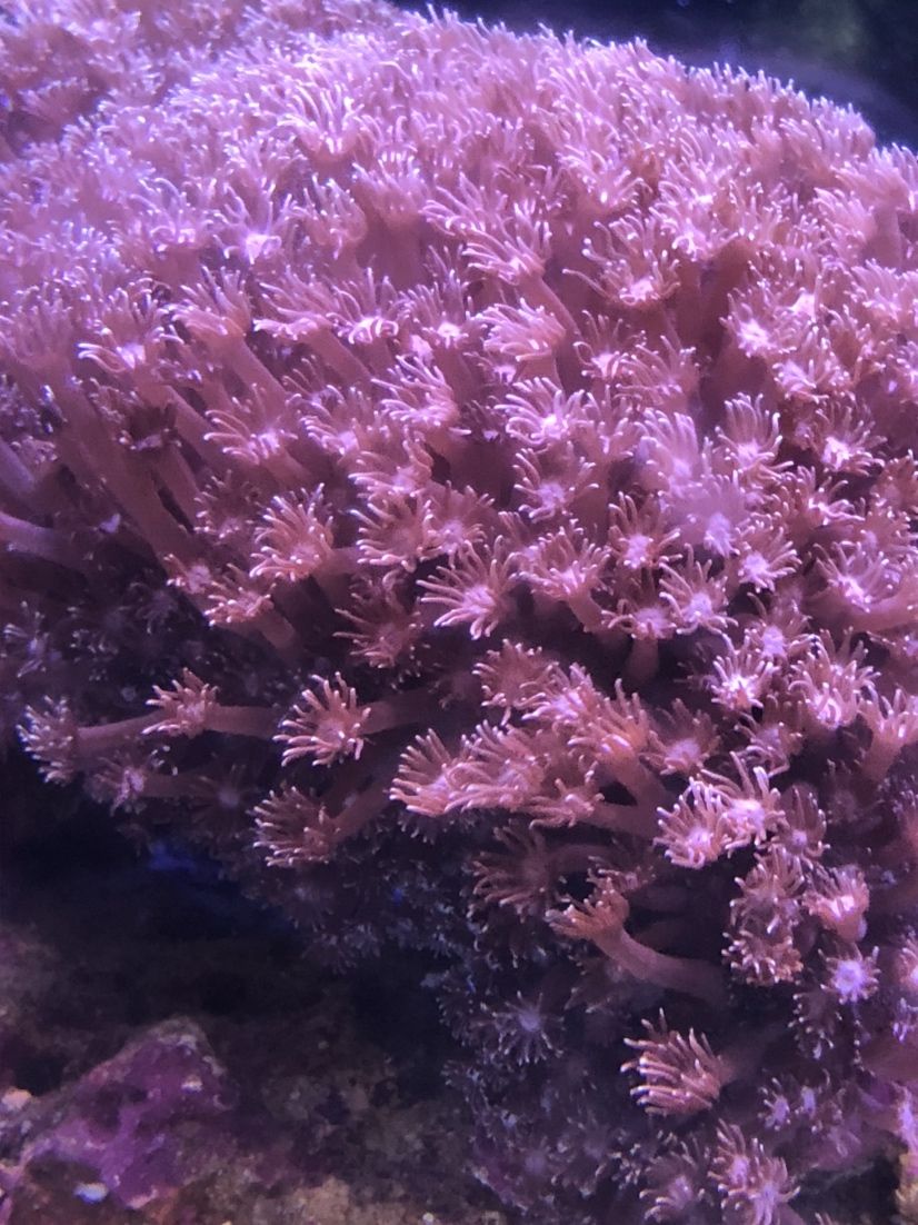 烏海水族館請教大師