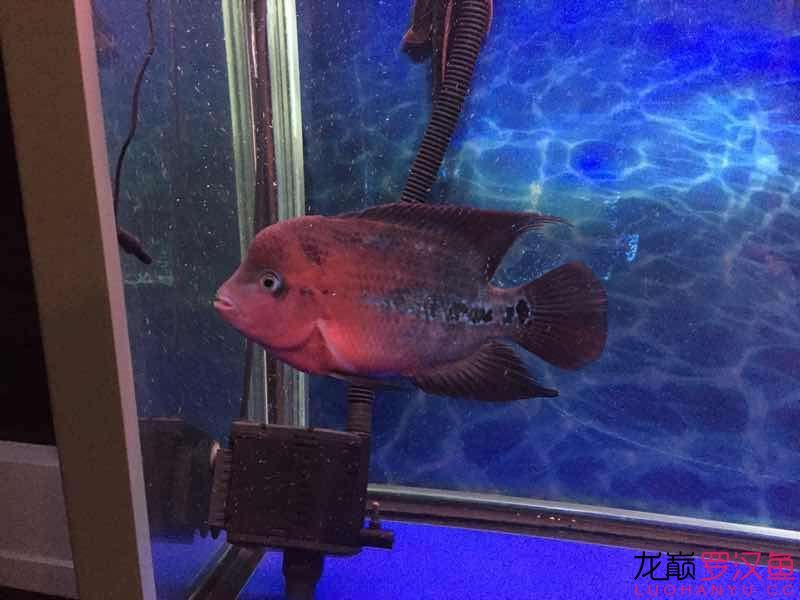 南平水族館便宜幻彩