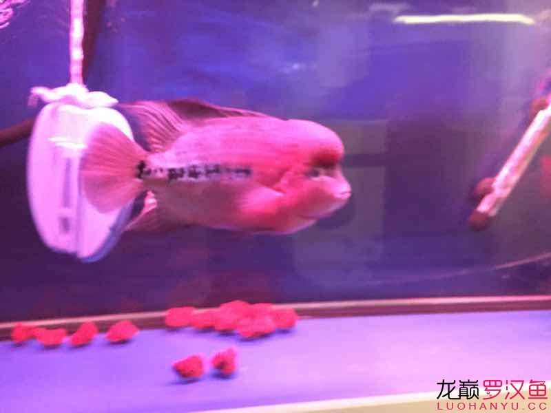 南平水族館便宜幻彩