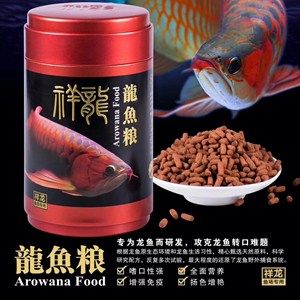 池州觀賞魚市場廣州市荔灣區(qū)頤程水族器材商行