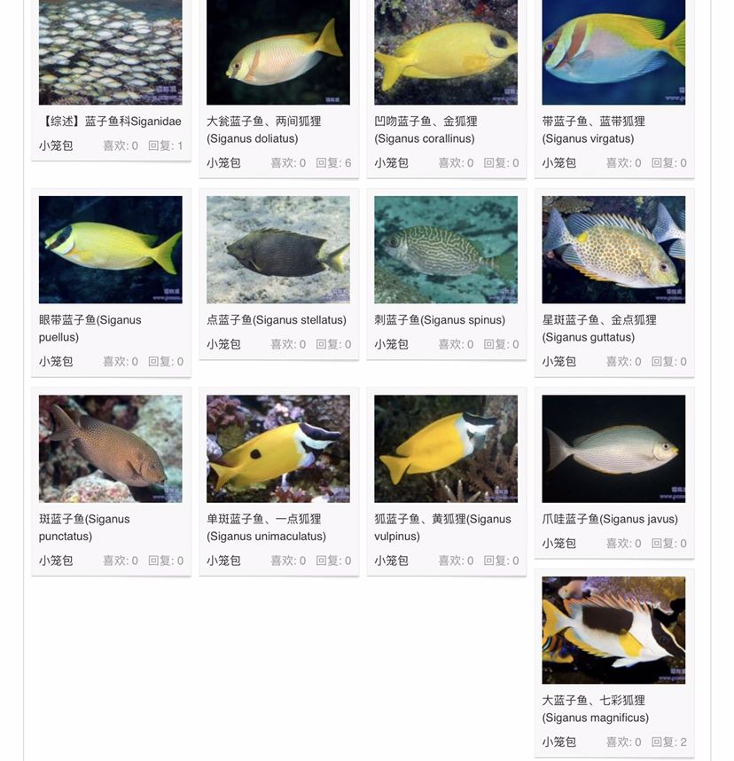 不能與珊瑚兼容的生物 女王大帆魚(yú) 第21張