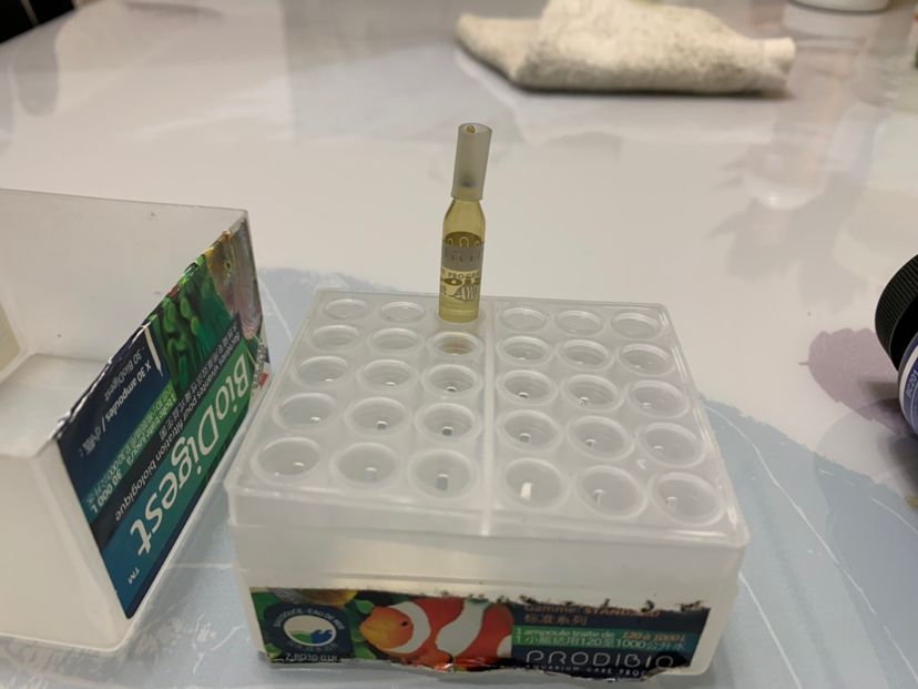 消化細(xì)菌的使用體驗 馬拉莫寶石魚苗 第6張