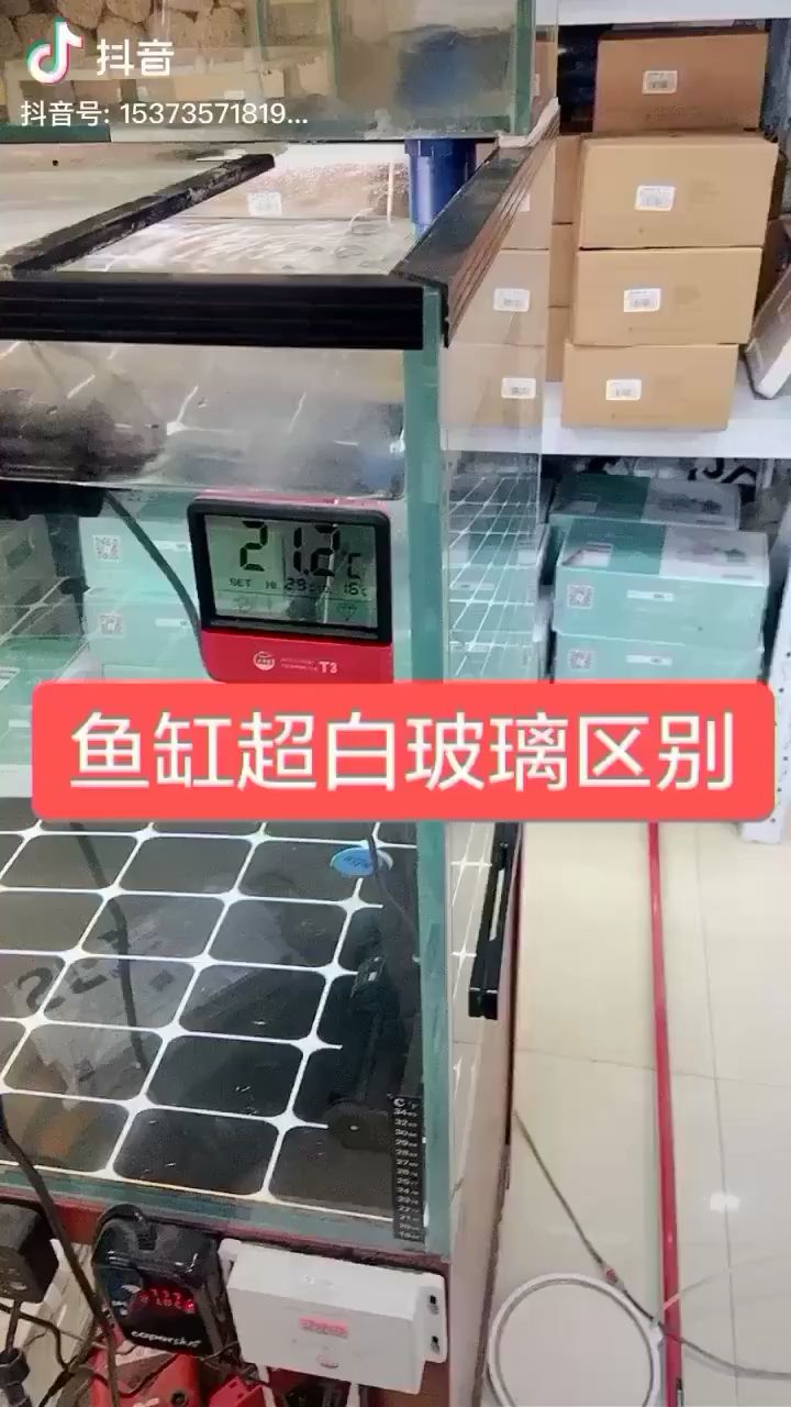 不懂得這些養(yǎng)魚十年也還是新手小白