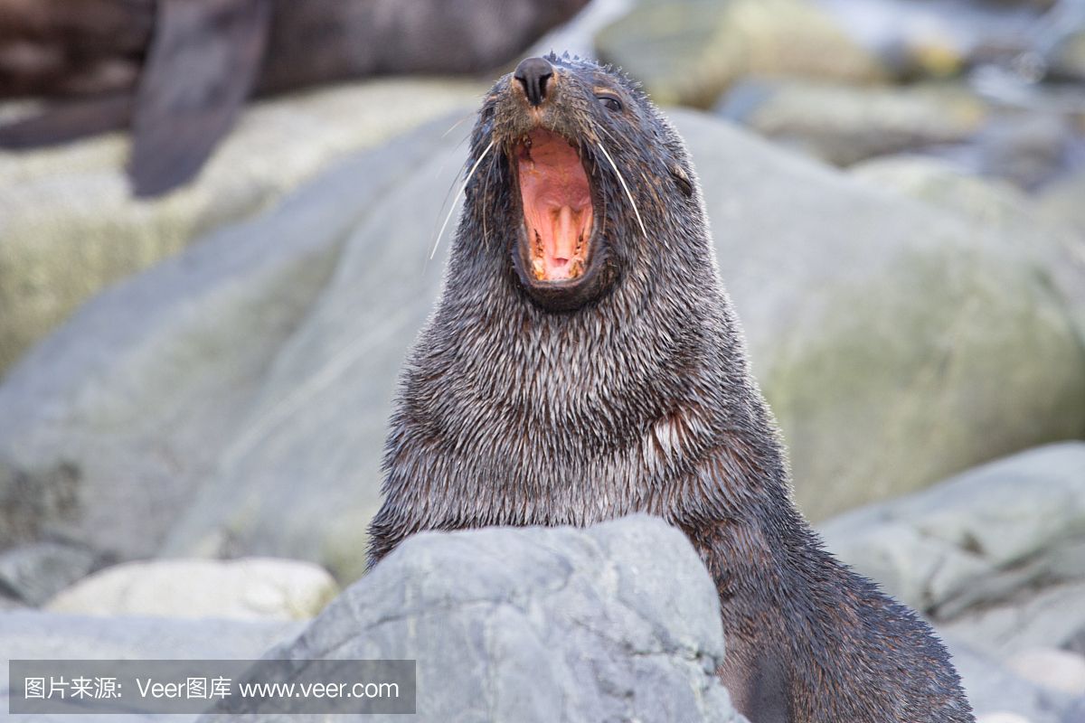 興安盟水族館瓜子苗長大了