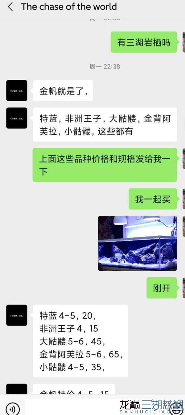 透露一個福建魚商奸商亂發(fā)貨騙錢賣的垃圾魚病魚 B級過背金龍魚 第3張