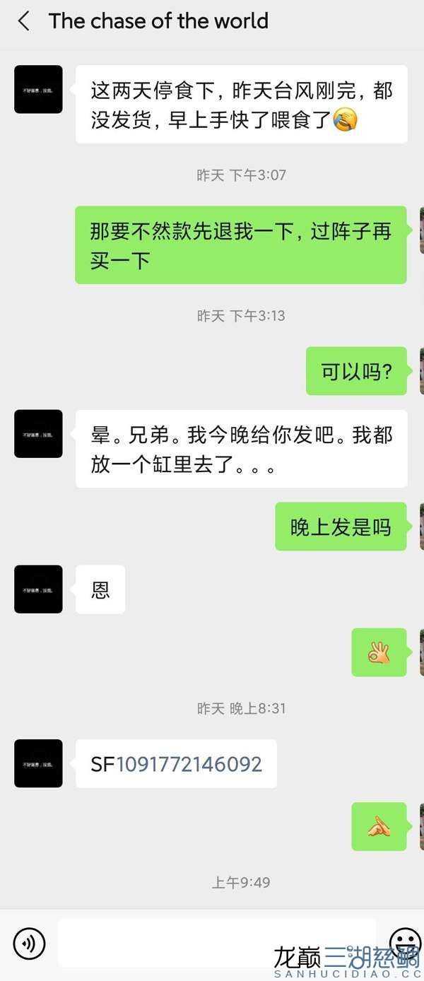 透露一個福建魚商奸商亂發(fā)貨騙錢賣的垃圾魚病魚 B級過背金龍魚 第6張