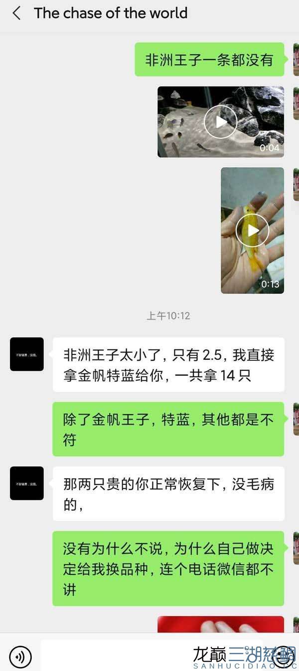 透露一個福建魚商奸商亂發(fā)貨騙錢賣的垃圾魚病魚 B級過背金龍魚 第7張