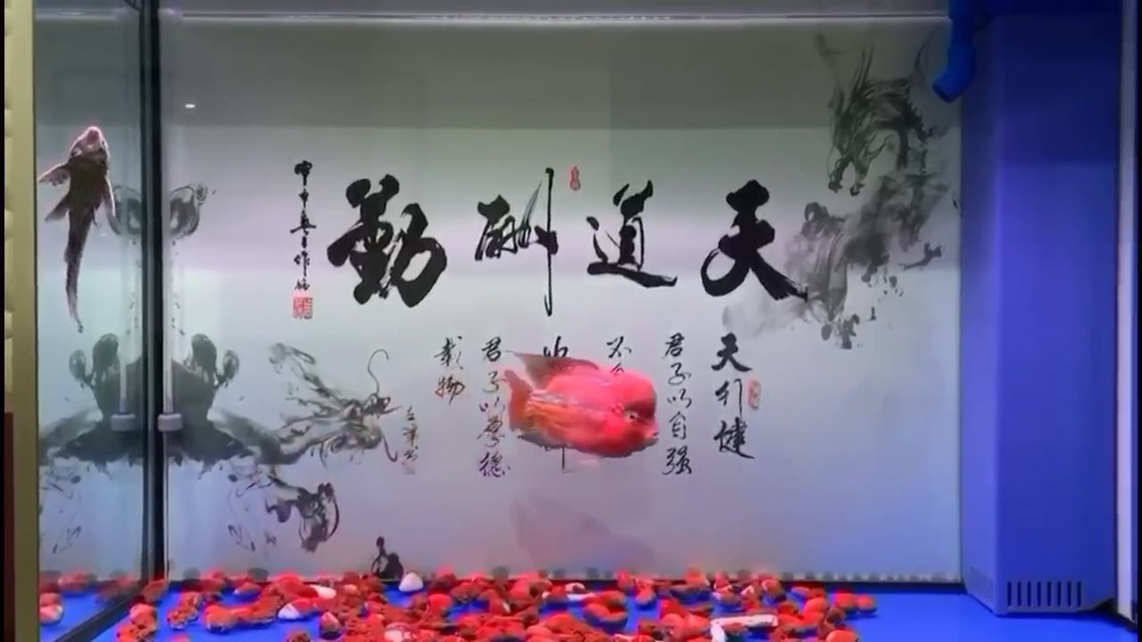 小幻入缸第七十八天X檔案九