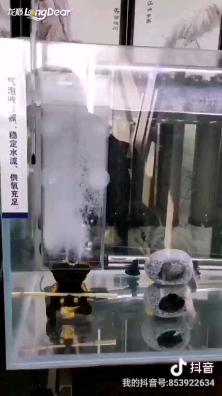 海水缸供氧 虎魚魚苗 第2張