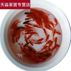 嗯湊合 祥龍水族濾材/器材 第1張