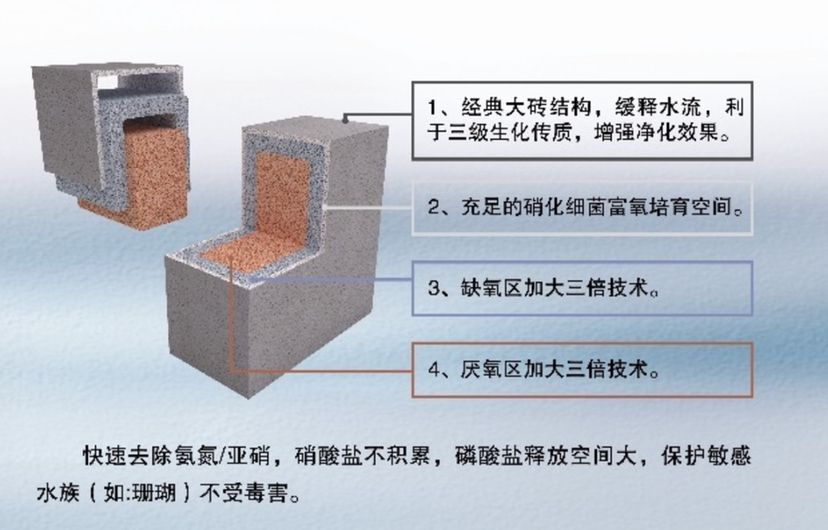 攀枝花觀賞魚市場非陶瓷有機材可機洗真通透 觀賞魚市場（混養(yǎng)魚） 第14張