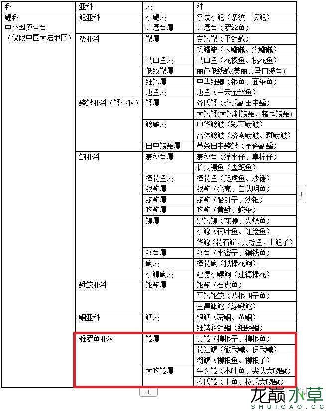 大陸地區(qū)鯉科原生魚之雅羅魚亞科篇