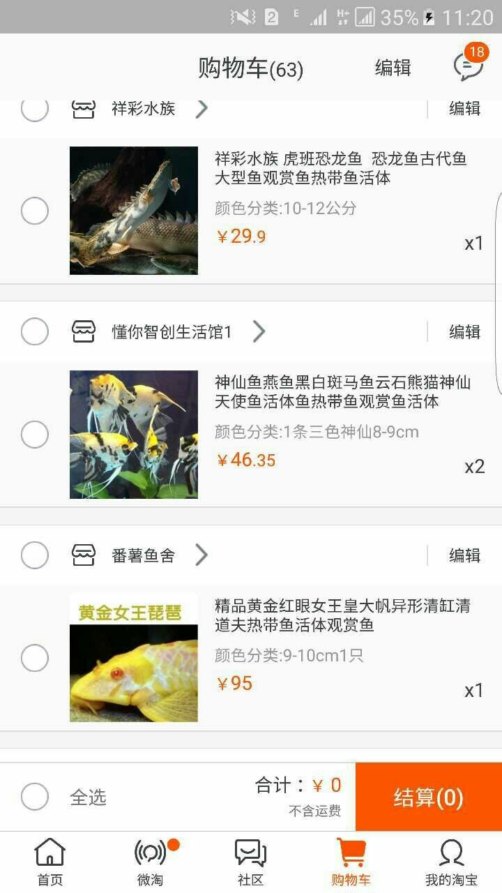 這樣搭配可好兩條泰鯽 黃金眼鏡蛇雷龍魚 第1張