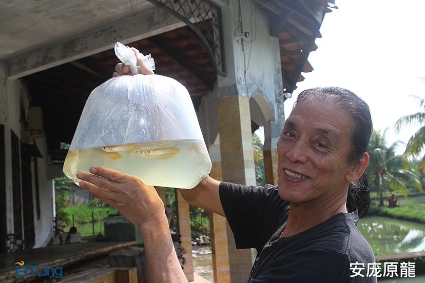 上饒水族館秀色可餐 魚(yú)缸水質(zhì)穩(wěn)定劑 第5張