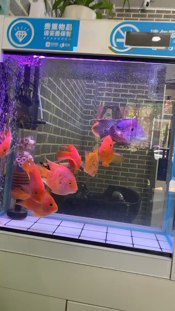 麗水水族館蒙眼