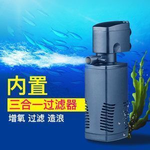 金龍魚的水溫（金龍魚水溫過低怎么辦金龍魚水溫控制技巧）