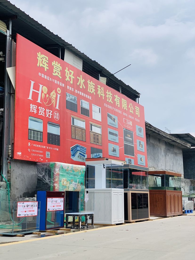 連云港水族館山西太原上海市 夢(mèng)幻雷龍魚 第8張