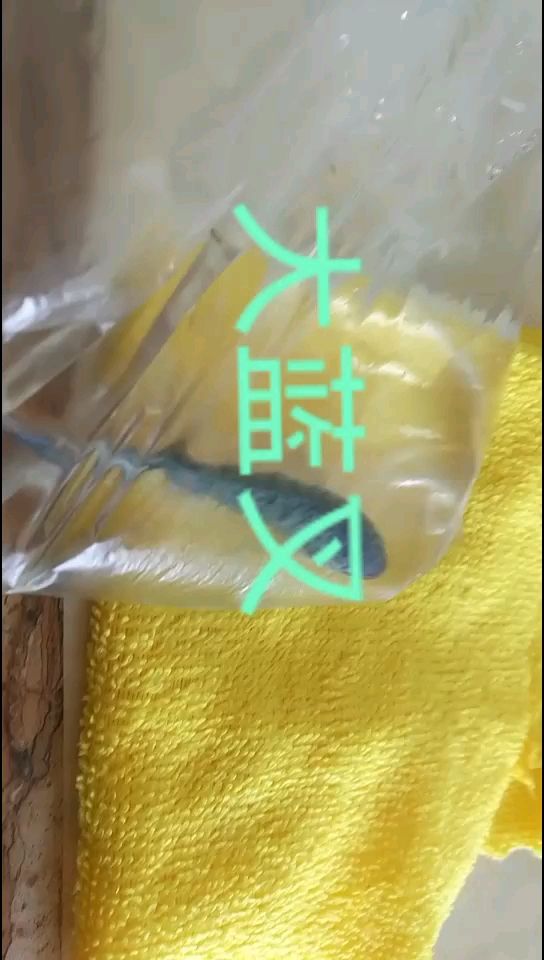 從濟(jì)寧買的魚