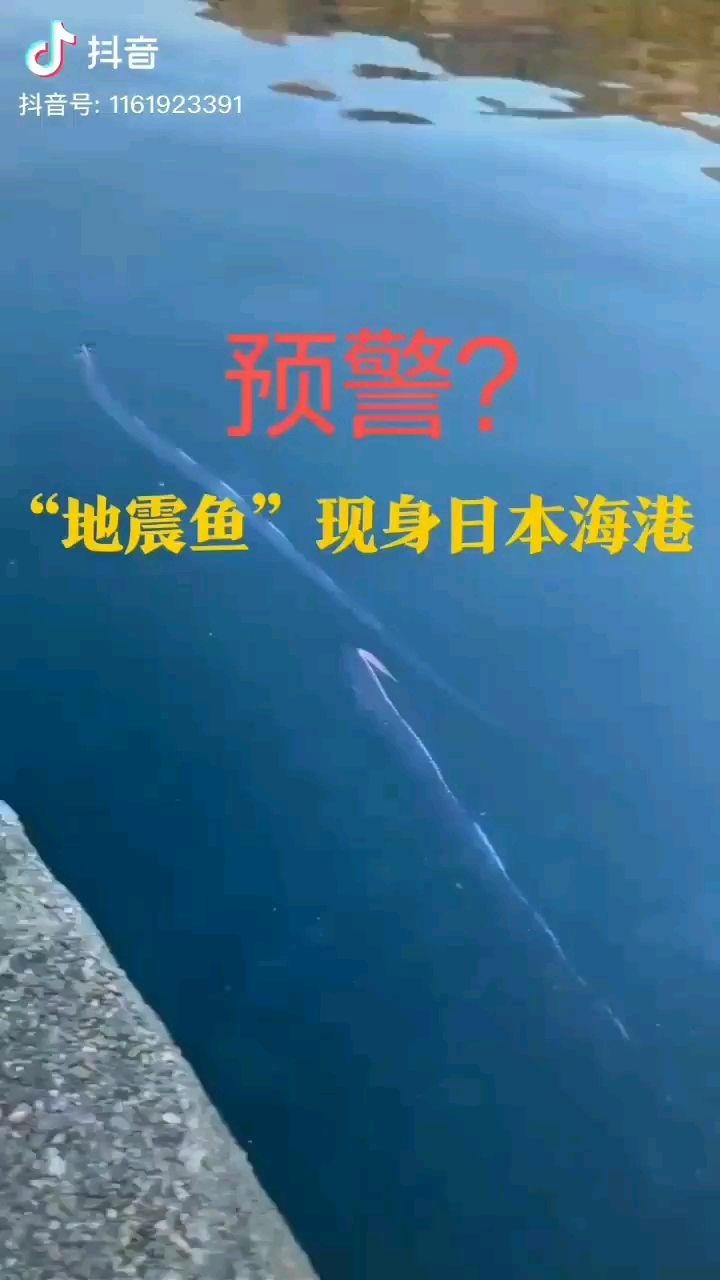 地震魚