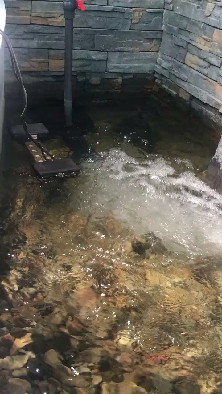 喂多少魚飼料