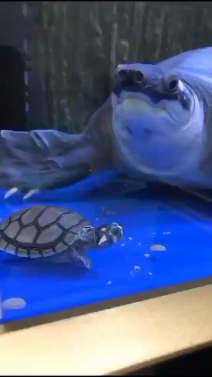 湖州水族館爺爺與孫子