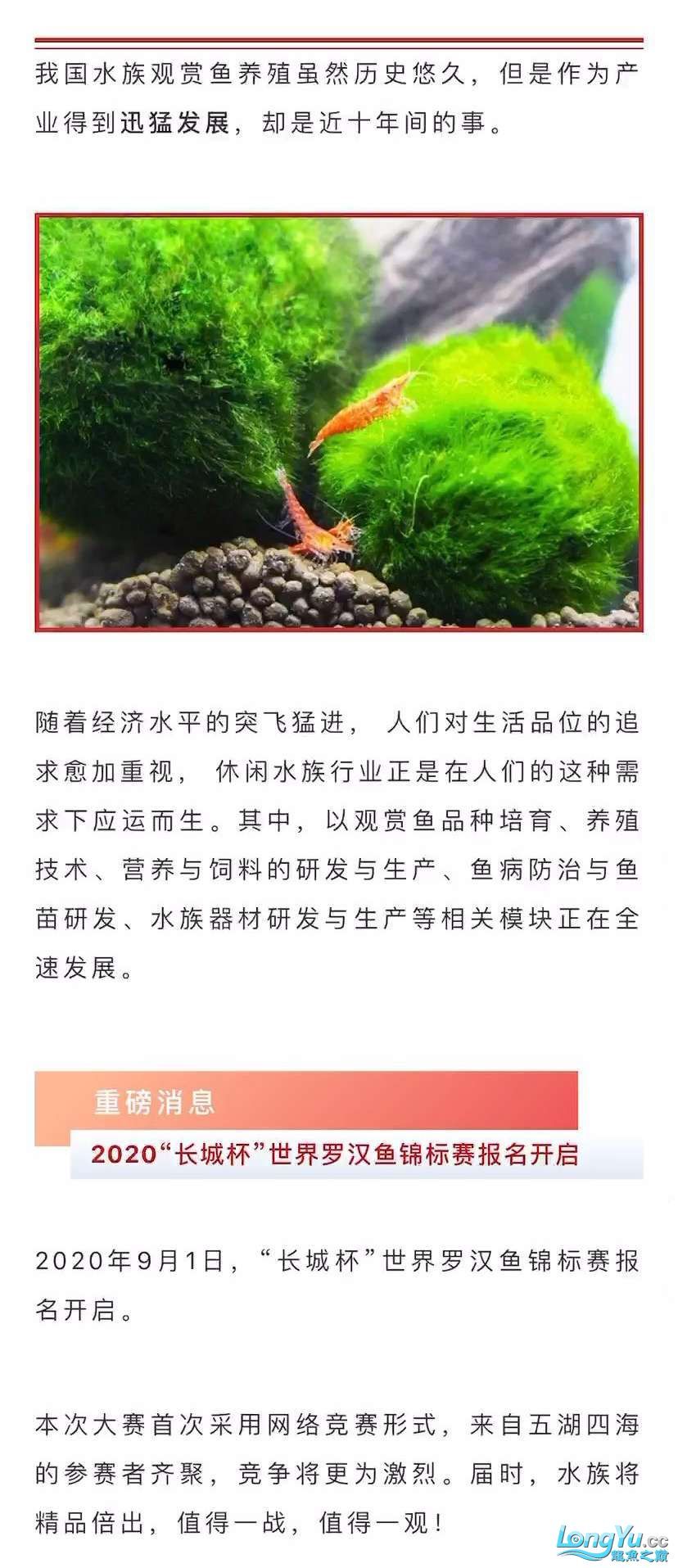 本溪觀賞魚市場深耕行業(yè)24年全球水族行業(yè)的重要貿(mào)易平臺—CIPS長城水族