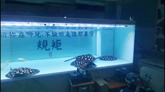 克孜勒蘇柯爾克孜自治州水族館細說過濾